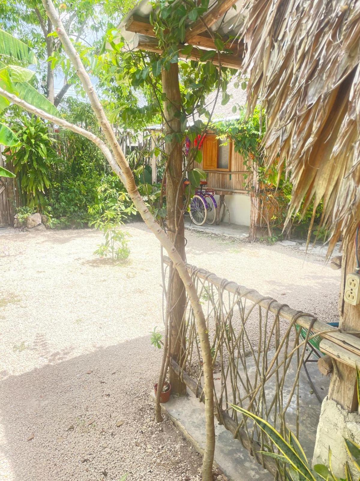 Cabanas Alma Verde Bacalar Zewnętrze zdjęcie